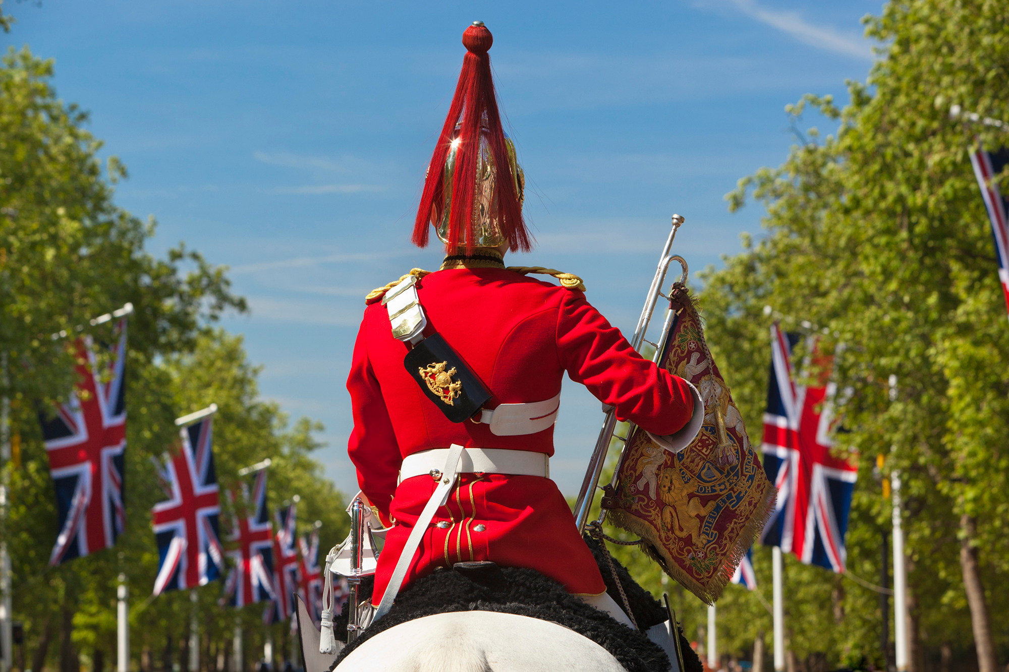 Reistips Londen: Een koninklijke gardist te paard tijdens een ceremonie op The Mall.